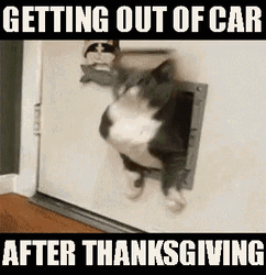 Getting Out Of Car After Funny Happy Thanksgiving GIF