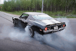 Getting Ready To Race This Car GIF