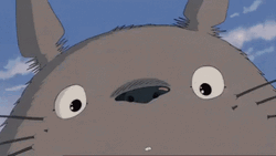 Ghibli Totoro Big Smile GIF