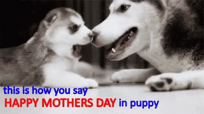 Ghost And Boy With Smiley Faces GIF