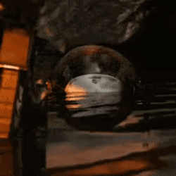 Ghost Cod Emerging From Water GIF