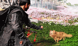 Ghost Of Tsushima Jin Sakai And Baby Tiger GIF