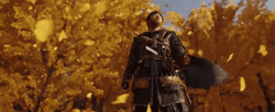 Ghost Of Tsushima Jin Sakai Forest GIF