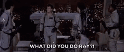 Ghostbusters What Did You Do Ray
