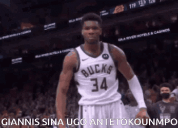 Giannis Antetokounmpo Basketball Player GIF