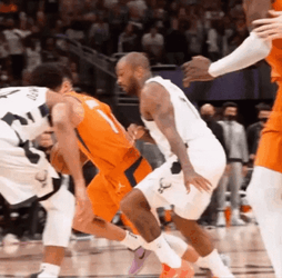 Giannis Antetokounmpo Blocks Player GIF