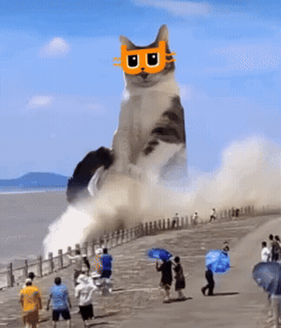 Giant Cat Wearing Sunglasses On Sandy Beach GIF