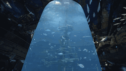 Giant Cylinder Aquarium Filled With Fish GIF