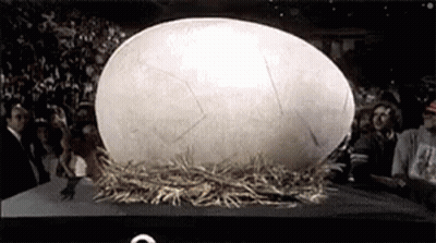 Giant Egg In Nest With Crowd GIF