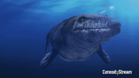 Giant Mosasaurus Under Water GIF