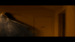 Giant Moth Near The Light GIF