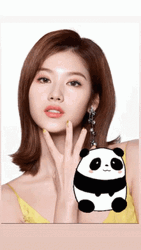 Giant Panda With A Beautiful Sana GIF