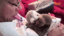 Gibon Tongue Out GIF