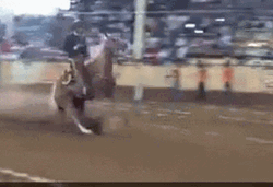 Giddy Up Horsey And Brake GIF