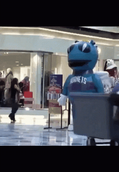 GIF Hornets GIF