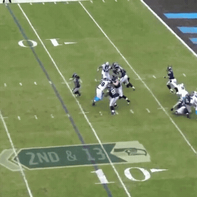 Gif Panthers GIF