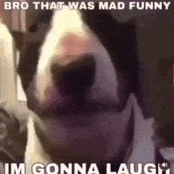 Gifs GIF