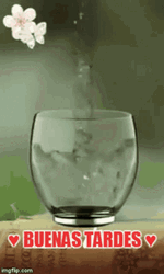 Gift Glass Water Fill Up Buenas Tardes GIF