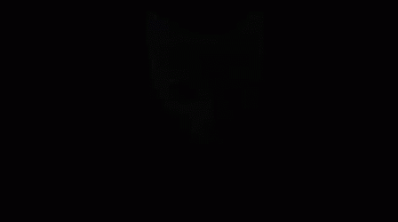 Gigachad Cat Meme GIF