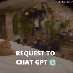 Ginger Cat Requesting Chatgpt Meme GIF
