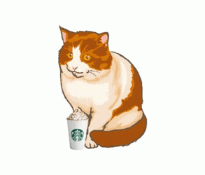 Ginger Kitty Swallowed Pumpkin Spice Latte GIF