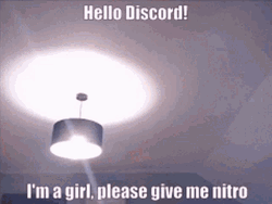 Gir Hello Discord Nitro