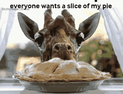 Giraffe Eating Pie Everyone Wants A Slice GIF
