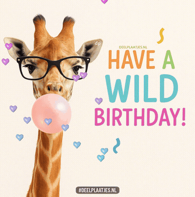 Giraffe In Glasses Blowing Pink Bubble Saying Have A Wild Birthday GIF