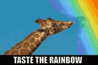 Giraffe Lick On Skittles Candy Rainbow GIF