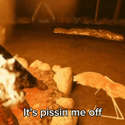 Giraffe Pissing Me Off GIF