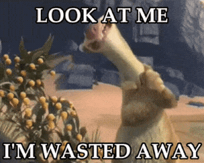 Giraffe Saying Look at Me I Am Wasted