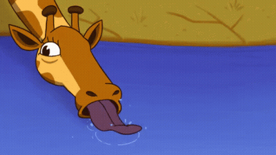 Giraffe Sticking Tongue Out Into Water GIF