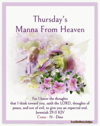Girl And Bird Thursday's Manna From Heaven GIF
