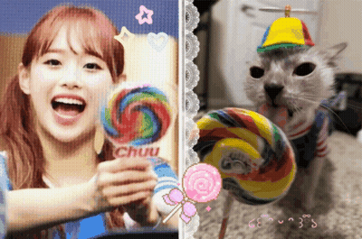 Girl And Cat Holding Lollipops GIF