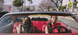 Girl Bestfriends Road Trip GIF