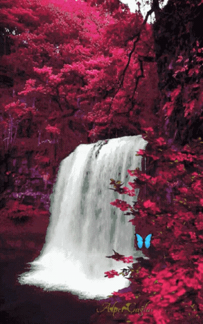 Girl Buenos Días Amigos GIF