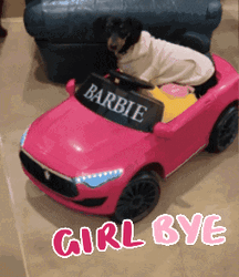 Girl Bye Dog In The Toy Car GIF