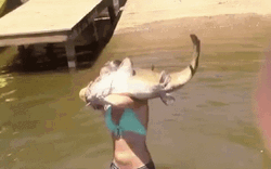 Girl Catches Catfish GIF