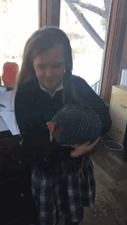 Girl Dancing With Chicken GIF