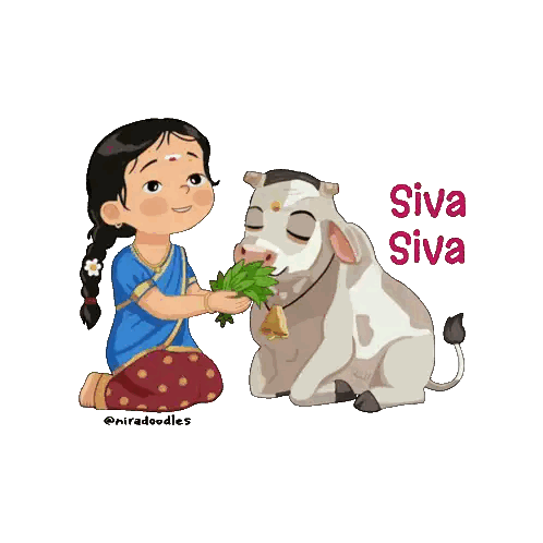 Girl Feeding Cow Siva Siva Sticker