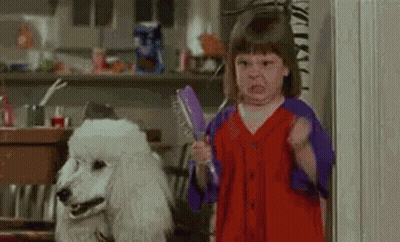 Girl Holding Brush Next To Poodle GIF