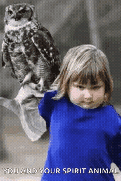 Girl Holding Owl Saying Spirit Animal GIF
