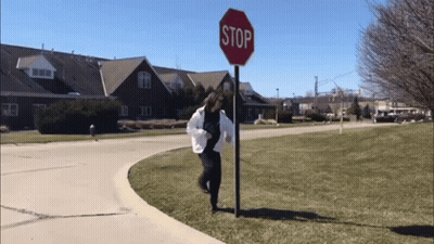 Girl Holding Stop Sign GIF