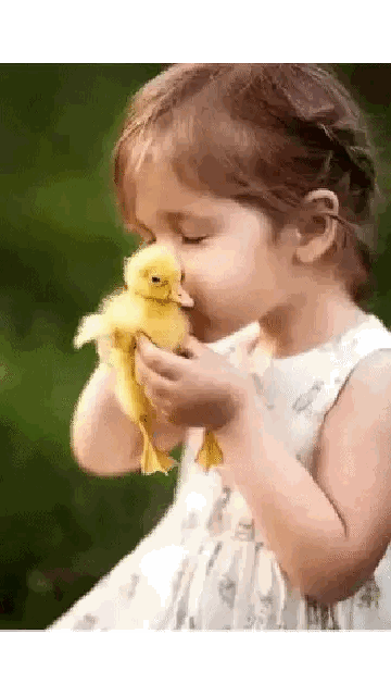 Girl Holding Yellow Duckling Sticker