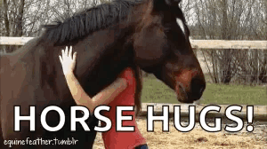 Girl Hugging Brown Horse GIF