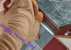 Girl In Camel Onesie Happy Hump Day Meme GIF