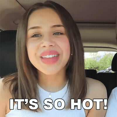 Girl In Car Saying It's So Hot GIF