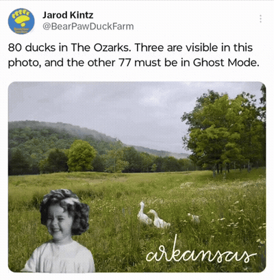 Girl In Field With Ducks GIF