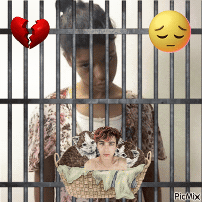 Girl In Jail Cell With Kittens And Broken Heart GIF