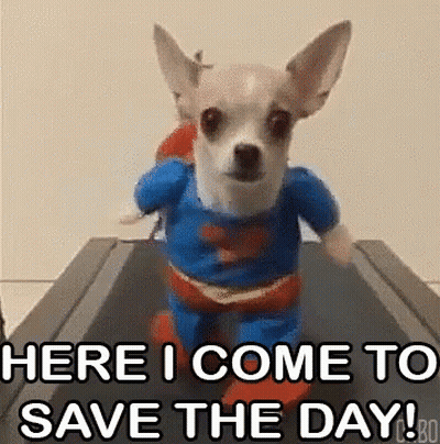 Girl In Marching Band Uniform Says You Saved My Life Today GIF